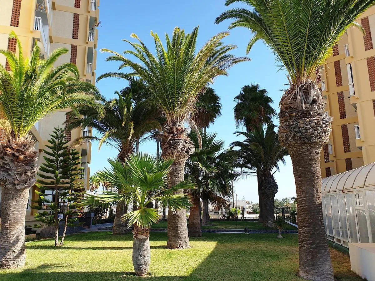 The Ocean In Full View Appartamento Playa de las Americas  0*, Playa de las Americas (Tenerife) Spagna